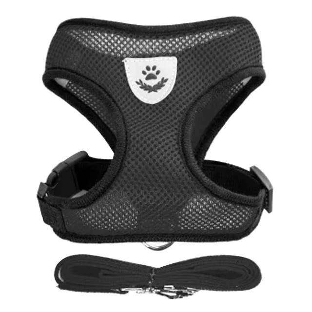 Puppy's Harness and Leash