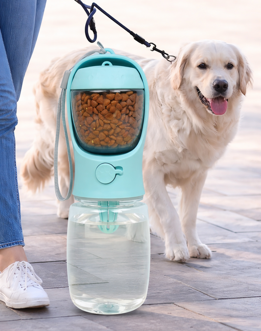 Kojuu's 2-in-1 Pet Water Dispenser