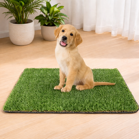 Kojuu's Grass Pee Pad