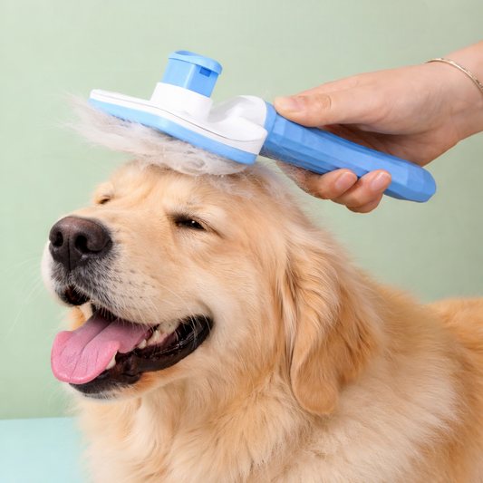 Kojuu's Pet Brush