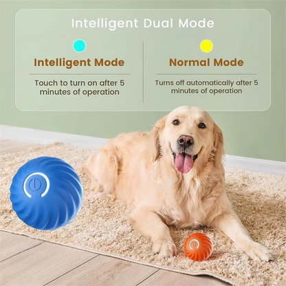 Kojuu's Pet Movable Ball