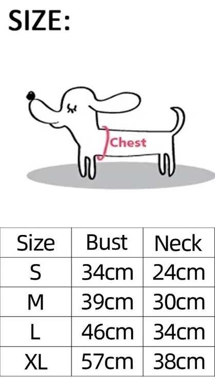 Puppy's Harness and Leash