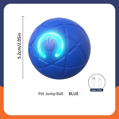 Kojuu's Pet Movable Ball