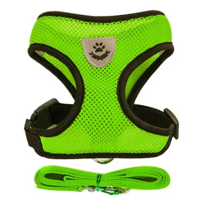 Puppy's Harness and Leash