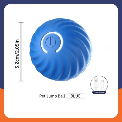 Kojuu's Pet Movable Ball