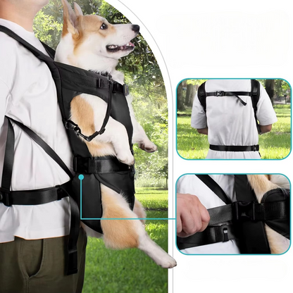 Kojuu's Backpack Carrier