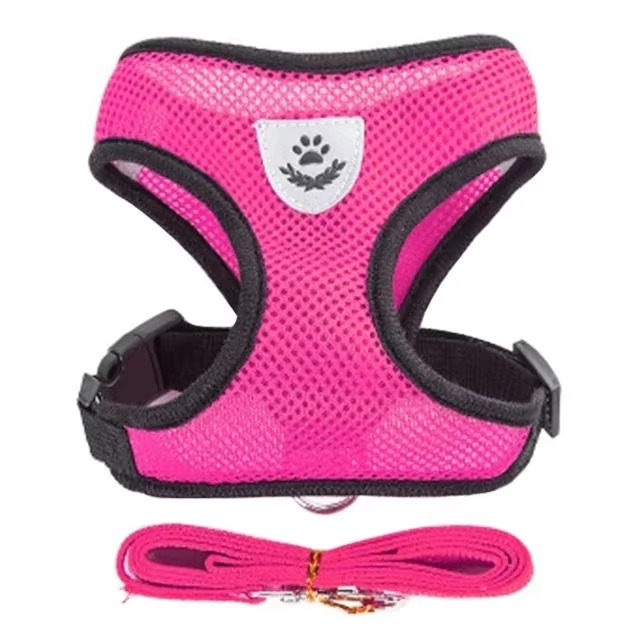 Puppy's Harness and Leash