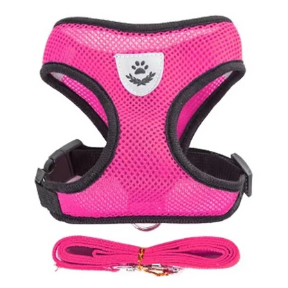 Puppy's Harness and Leash