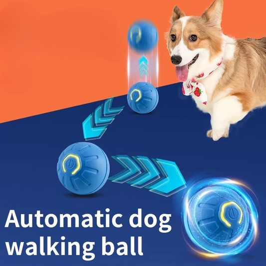 Kojuu's Pet Movable Ball