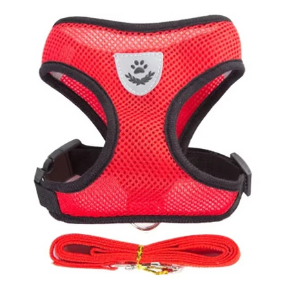 Puppy's Harness and Leash