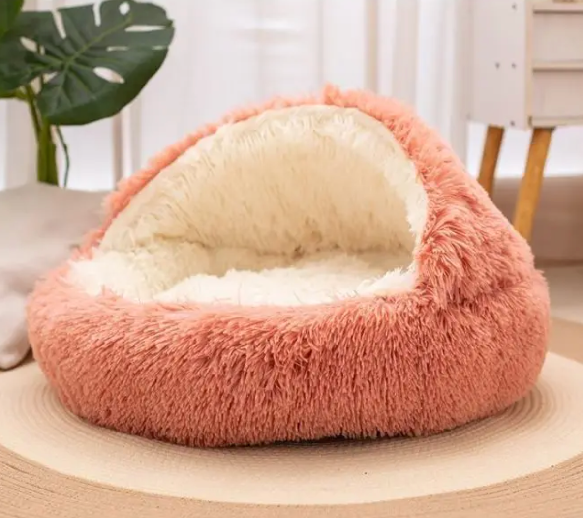 Kojuu's Cozy Nest Cave