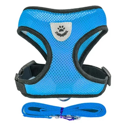 Puppy's Harness and Leash