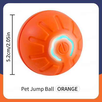 Kojuu's Pet Movable Ball