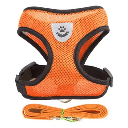 Puppy's Harness and Leash